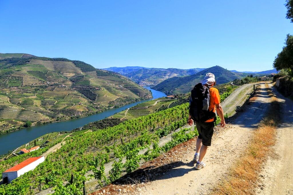 Scenic Tour From Porto to Douro Valley