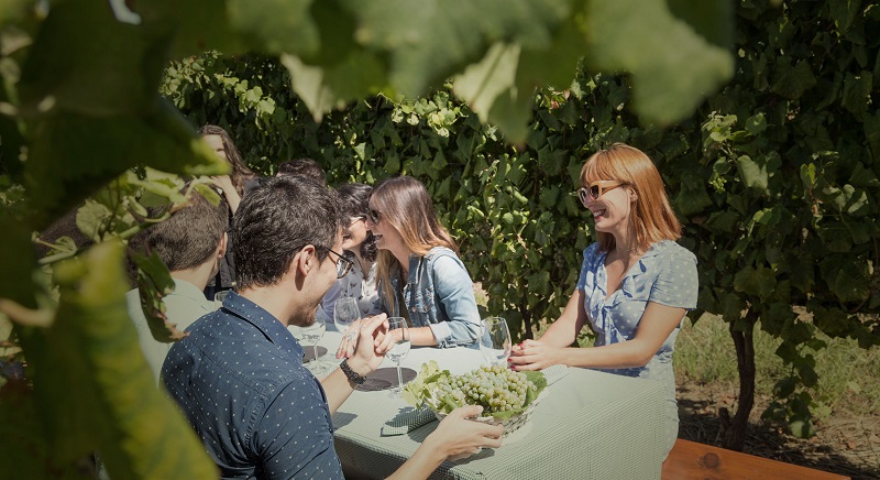 Quinta da Aveleda Tour: Vinho Verde, Traditionen und Verkostung